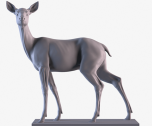Deer