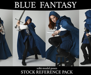 Blue Fantasy Adventure - Stock model reference pack