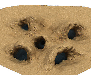 Desert - Monster Nest 4
