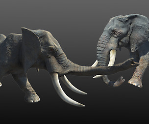 African Animal Elephant II (Full Version)
