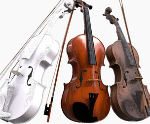 Violin