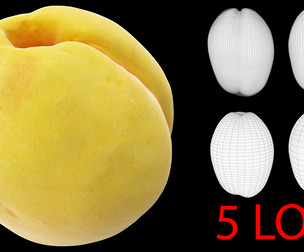 Apricot 01 with 5 LODs PBR