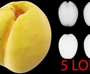 Apricot 02 with 5 LODs PBR