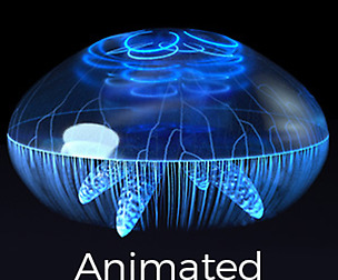 Jellyfish (with UE4 Support)