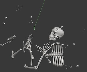 Ancient graveyard - bones