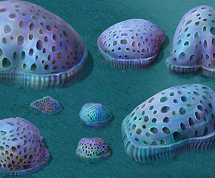 Submarine Cartoon World - Cellular Coral