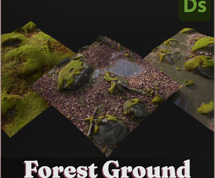 Substance Designer | Forest Ground Material