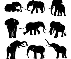 9 Elephant Silhouette EPS Vector, African Elephant Poses