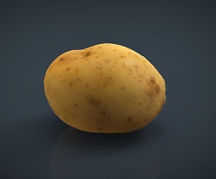 Potato