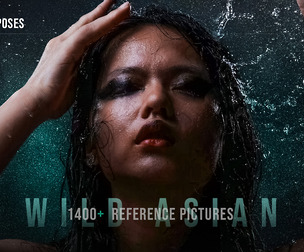 1400+ Wild Asian Contrast Poses