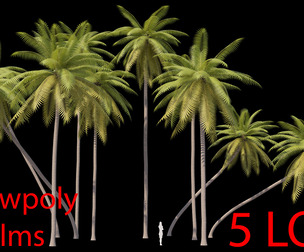 Palms Lowpoly Set 01 PBR with 5 LODs