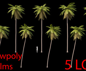 Palms Lowpoly Set 02 PBR with 5 LODs