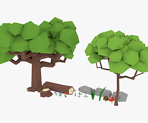 Forest Asset