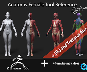 Anatomy Female Tool Reference for Artists !