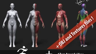 Anatomy Female Tool Reference for Artists ! cover