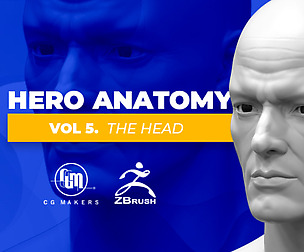 Hero Anatomy Vol 5: The Head