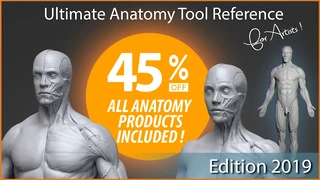 Ultimate Anatomy Tool Reference for Artists ! cover