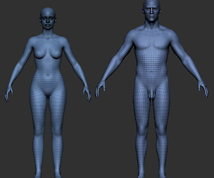 Pro Male/Female Basemesh
