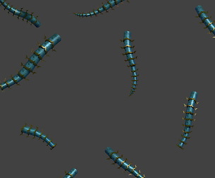 Magic territory - insects