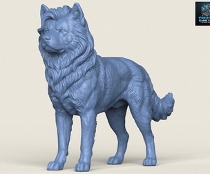 Akita Dog