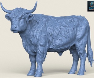Himalayan Snow Cow