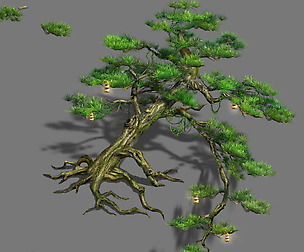 Zen - cliff pine