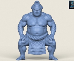 Japanese Sumo Fighter Character