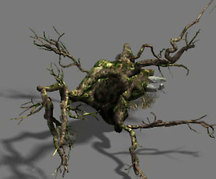 Fell to the ground to rotten trees