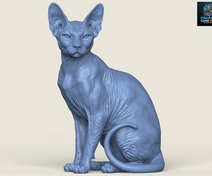 Sphynx Cat Sitting