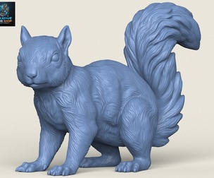 Squirrel