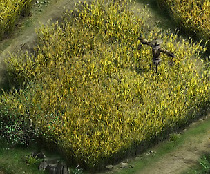Paddy field - scarecrow