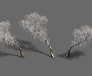 Winter snow - tree