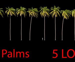 Palms Swaying in the Wind Set 02 PBR with 5 LODs