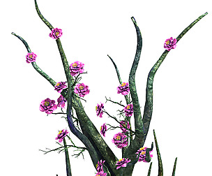 Wizard Forest - Supernatural Flowers 04