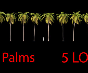 Palms Set 03 PBR with 5 LODs