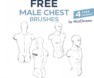 Chest Brush for Clip Studio Paint free preview  by MissChroma