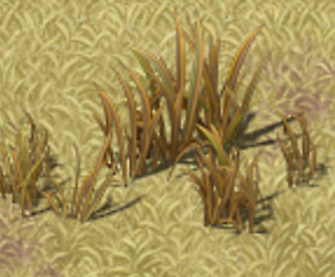 Cartoon Edition - Wildland Vegetation