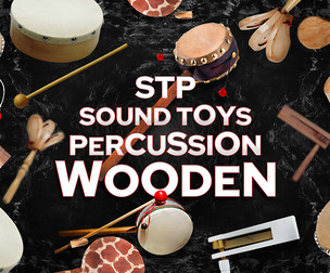 Sound Toys Percussion_Wooden Sound Pack