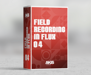 Field Recording In Flux 04
