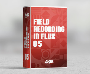 Field Recording In Flux 05