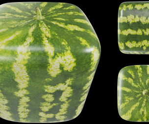 Watermelon square PBR