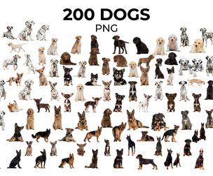 200 Dog PNG, Real Pet, Puppy Clipart, Domestic Animal Labrador, Dalmatian, Chihuahua