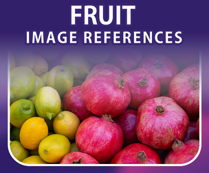 400 Fruit References Pack – Vol 1