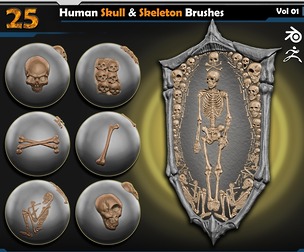Human Skull & Skeleton Brushes | Vol.01