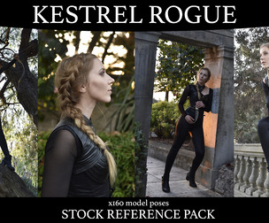 Kestrel Rogue - Fantasy Stock Model Reference Pack