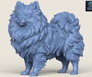 Pomeranian Dog Print Ready 3D Model