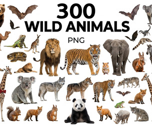 300 Wild Animals PNG Bundle, Safari Lions, Jungle Tigers, Forest Animal PNG, Zoo Clipart