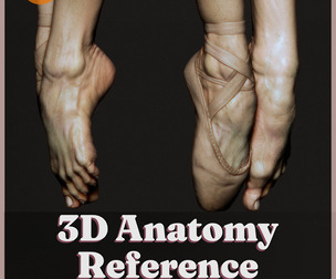 3D Anatomy Reference | Feet Anatomy