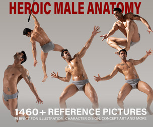 1460+ Heroic Male Anatomy Poses Reference Pictures