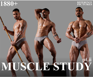 1880+ Dynamic Male Muscle Study Reference Pictures . PT.II